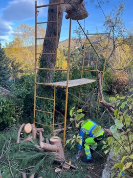 Herido grave un hombre al caer de un árbol que podaba en Soto del Real