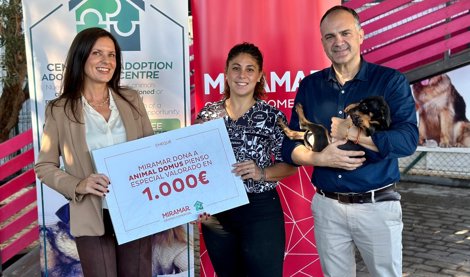 Comunicados Empresas