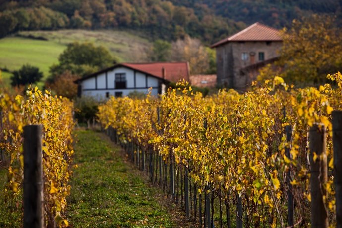 Ruta del Txakoli de Álava