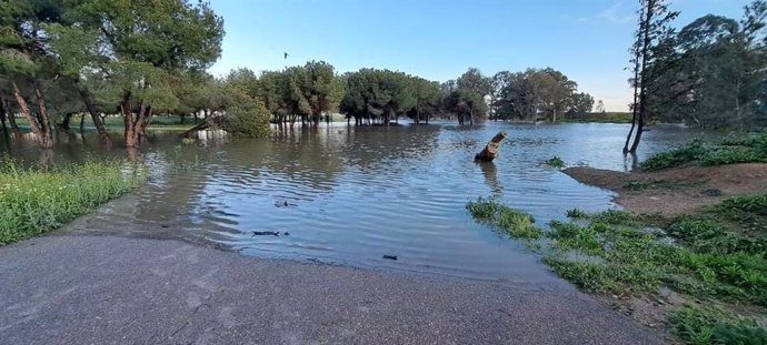 Una de las lagunas de Sevilla cuya protección reclama Ecologistas en Acción