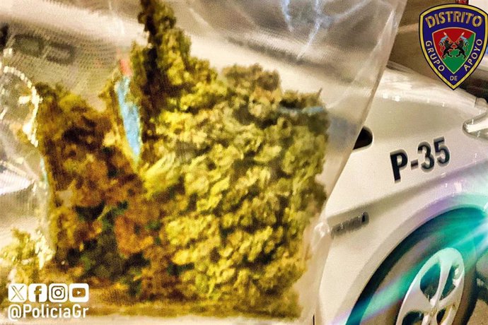 Marihuana incautada por la Policía Local de Granada