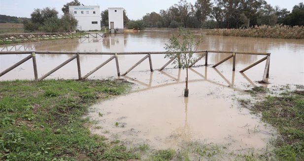 Jerez al día