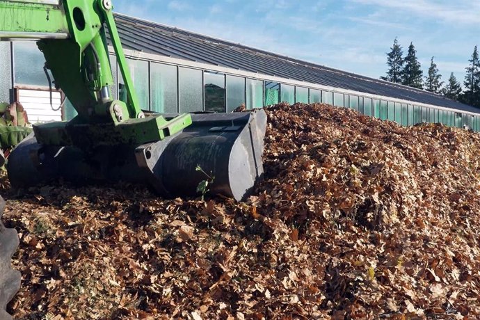 El Ayuntamiento de Pamplona lanza una prueba piloto para estudiar la viabilidad de compostar la hoja recogida en otoño