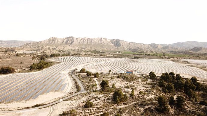 X-Elio pone en operación la segunda fase de una planta fotovoltaica en Alicante que alcanza los 50 MW