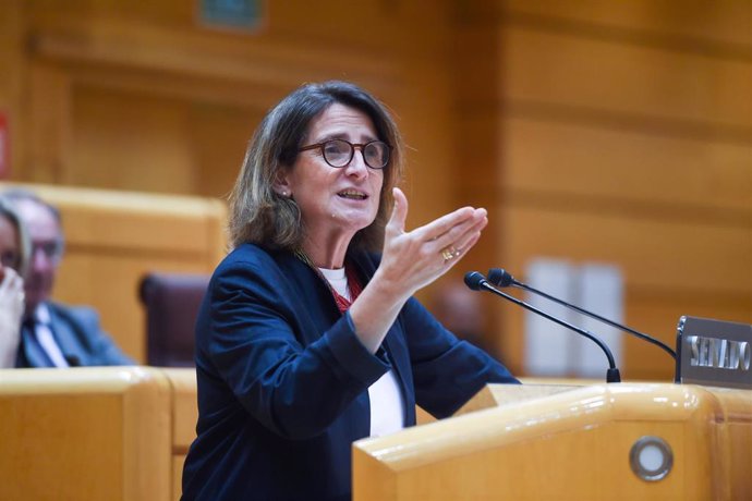 La vicepresidenta tercera y ministra para la Transición Ecológica y el Reto Demográfico, Teresa Ribera, interviene durante el pleno del Senado, a 20 de noviembre de 2024, en Madrid (España).