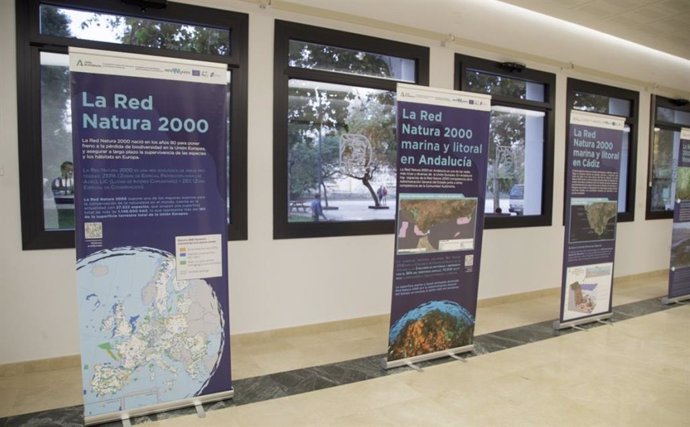 Campaña de sensibilización de espacios marinos en el Puerto de Cádiz