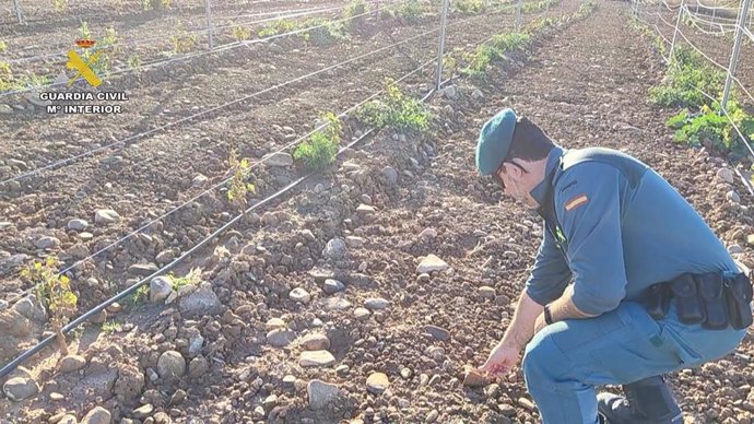 Investigado por el SEPRONA un vecino de Aldeanueva de Ebro por causar graves daños en el yacimiento arqueológico 'La Torrecilla'