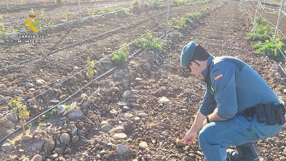 Investigado por el SEPRONA un vecino de Aldeanueva de Ebro por causar graves daños en el yacimiento arqueológico 'La Torrecilla'