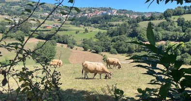 Asturias Rural