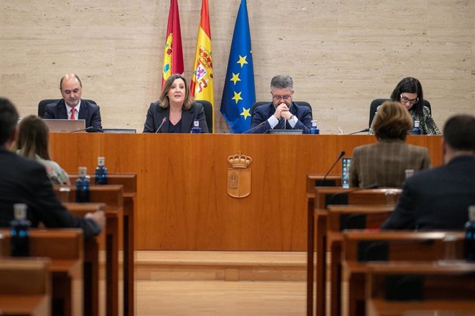 La consejera de Economía, Empresas y Empleo, Patricia Franco, en la comisión de presupuestos