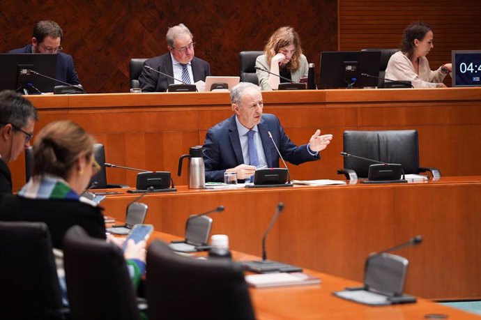 El director gerente del IAA, Luis Estaún, en una comparecencia en las Cortes de Aragón.