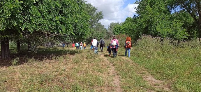 Archivo - Imagen anterior de un paseo ciudadano por Tablada