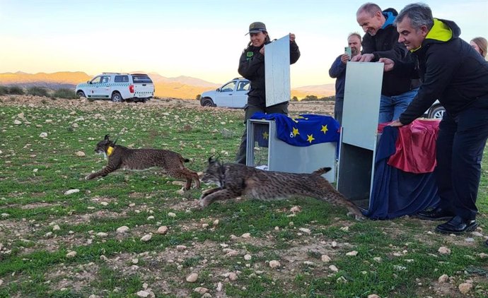 El consejero Juan María Vázquez, junto al rector de la UPCT, Mathieu Kessler ayer durante la suelta de los dos linces ibéricos en las inmediaciones de La Parroquia (Lorca)