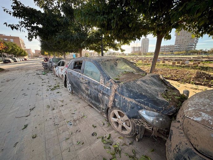 Imatge de vehicles danyats per la dana del passat 29 d'octubre al terme municipal de València.