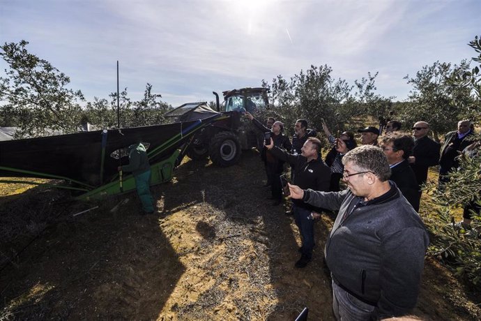 Visita al olivar de Toledo.