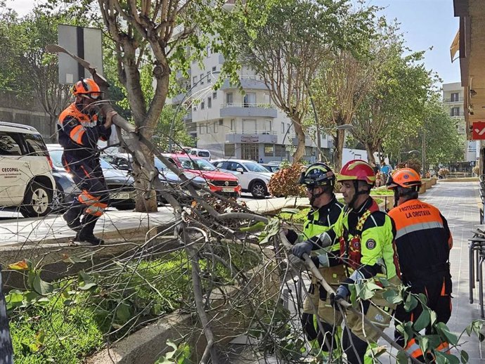 Efectivos de Bomberos de Tenerife y Protección Civil atienden incidencias por el temporal de viento que afectó a la isla