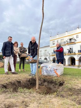 El alcalde de El Puerto de Santa María, Germán Beardo, durante la plantación de un eucalipto arcoíris, originario de Papúa-Nueva Guinea