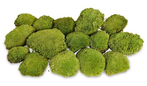 Comunicados Sociedad