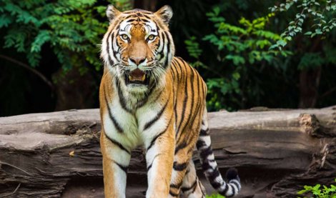 Comunicados Sociedad