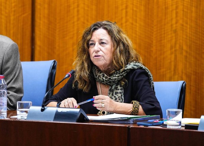 La consejera de Desarrollo Educativo y Formación profesional, María del Carmen Castillo, este jueves en comisión parlamentaria