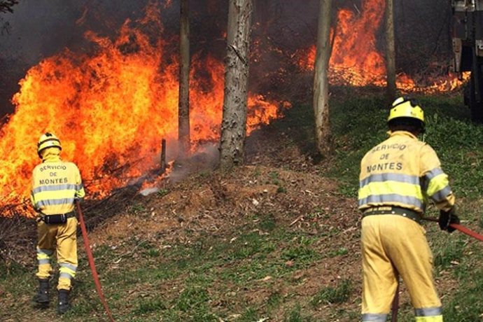 Archivo - Incendio forestal en Cantabria.- Archivo