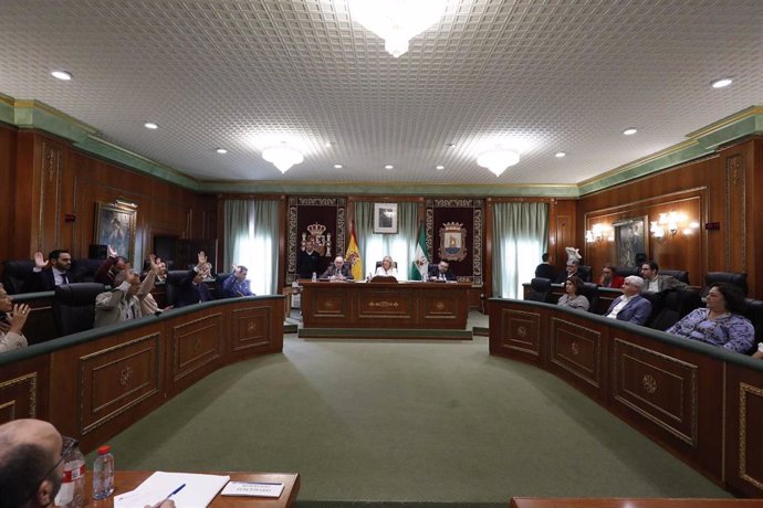 Pleno del Ayuntamiento de Marbella