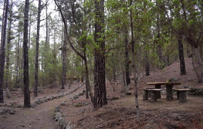 Área recreativa de Las Hayas, en Icod