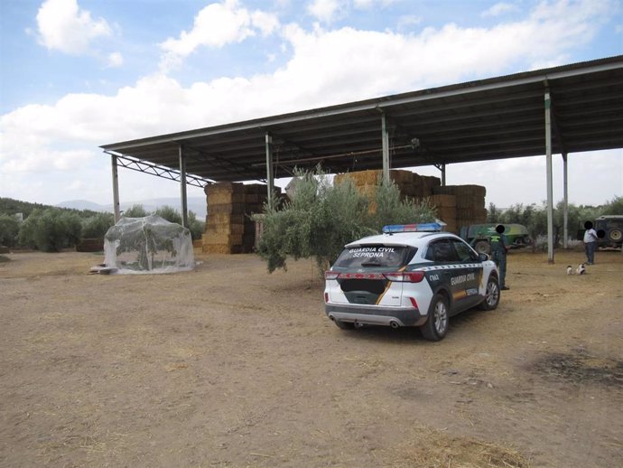 Inspección de las explotaciones donde se ha localizado las balas de ensilado de triticale