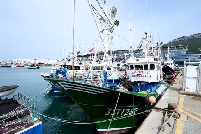 Archivo - Barcos amarrados en el puerto de Santoña