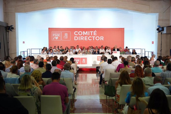 Archivo - El presidente del PSOE-A, Manuel Pezzi, durante su intervención en el Comité Director, a 18 de julio de 2024, en Sevilla, Andalucía (España). (Foto de archivo).