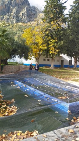 Visita a la piscina municipal