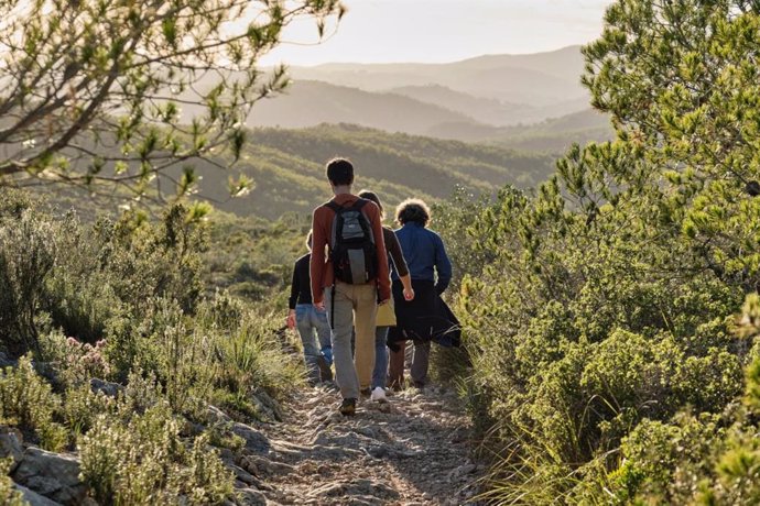 Archivo - Imagen de un grupo de personas paseando por el bosque.