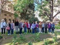 Una quincena de mujeres homenajean en Palma a asesinadas por violencia de género, "lacra" que "afecta a todos"