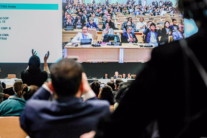 Los asistentes aplauden después del acuerdo alcanzado en la COP29