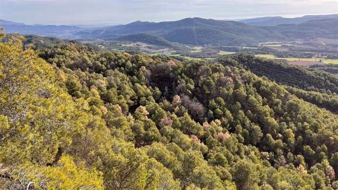 Vall del Carme (Barcelona)