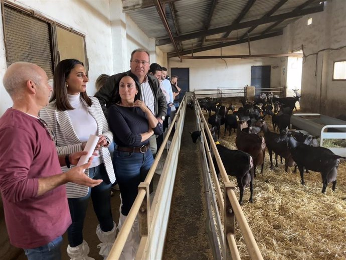 Imagen de la consejera Sara Rubira en la visita a una explotación de ganado caprino de Yecla.