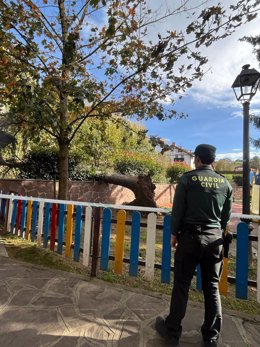 Imagen del árbol caído debido al viento en un parque infantil de Elizondo.