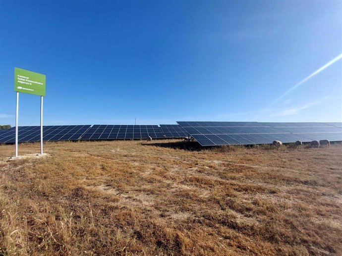 Planta fotovoltaica de Iberdrola en Portugal.