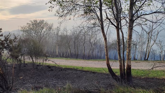 Archivo - Incendio forestal en el Monte Naranco de Oviedo.