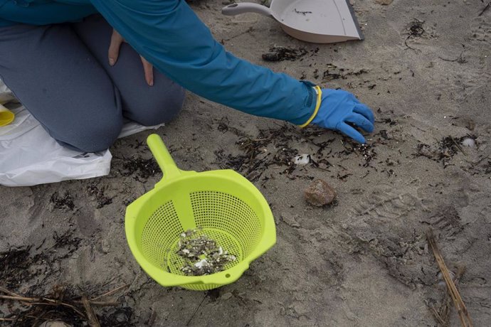 Archivo - Limpieza y recogida de pellets, en la playa de Patos, a 15 de enero de 2024.