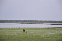 La CHG prevé movilizar 120 millones de euros en proyectos en el Espacio Natural de Doñana durante 2025
