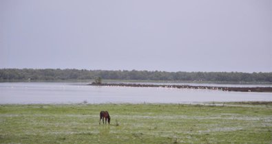 Huelva