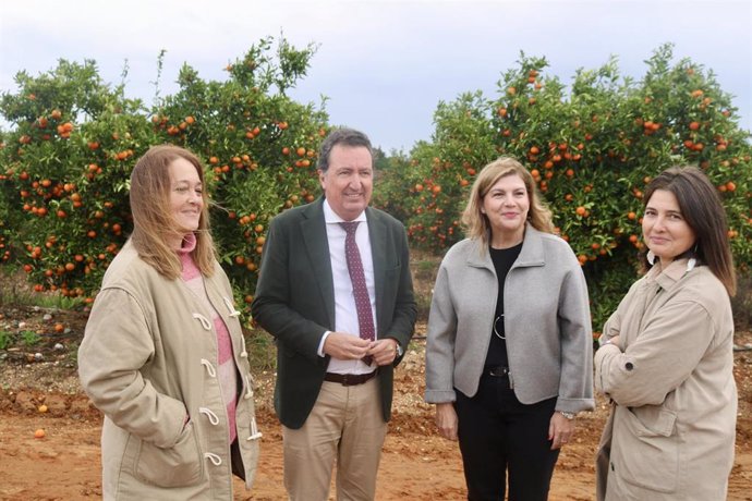 La secretaria general del PP de Huelva y ponente de la Ley en el Parlamento andaluz, Berta Centeno, acompañada por el presidente de los populares onubenses, Manuel Andrés González, durante una visita a la finca agrícola Los Jardales, en Lepe.