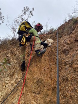 Rescate de uno de los perros que quedaron atrapados en la ladera de la mina.