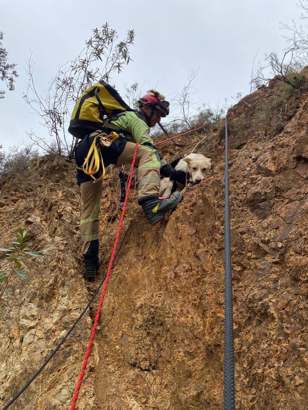 Rescate de uno de los perros que quedaron atrapados en la ladera de la mina.