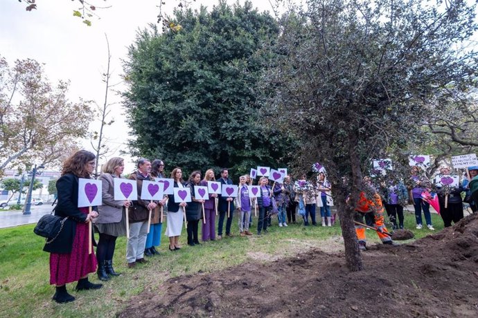 Imagen del árbol plantado este lunes en Cádiz en recuerdo de las mujeres asesinadas por la violencia de género