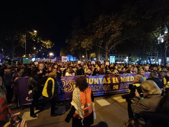 Manifestación de la Comisión 8M por el 25N.