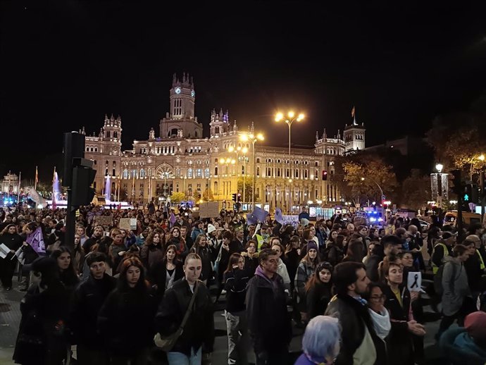 Asistentes a la manifestación de la comisión 8M, el 25N.