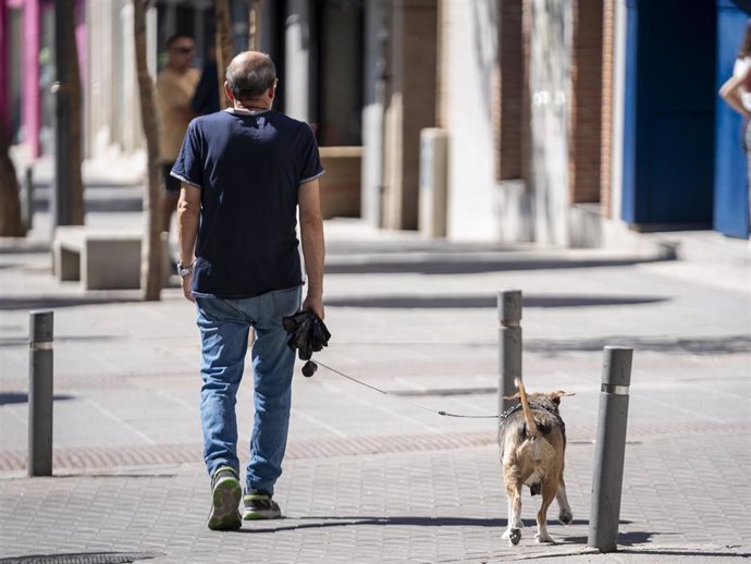 Archivo - Un hombre pasea a un perro, a 29 de septiembre de 2023, en Madrid (España).