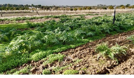 Comunicados Sociedad